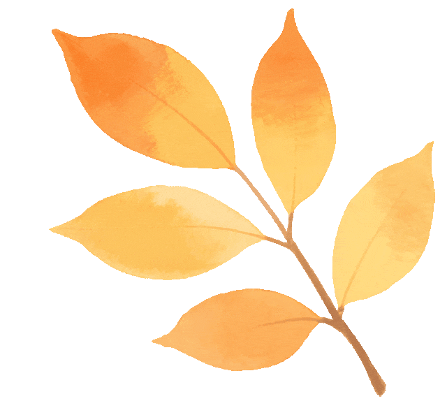 超美打卡攻略来啦！秋染道前街，追寻林则徐苏州印记