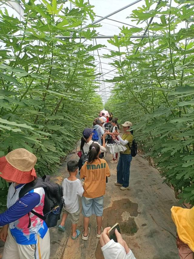 增城48小时奇遇记！