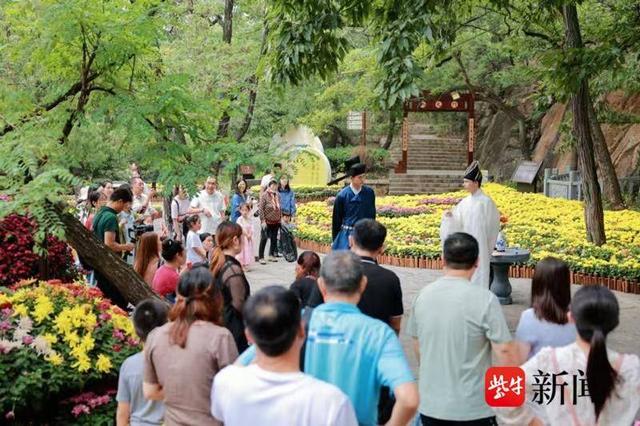 连云港孔望山菊花展启幕 沉浸式游园打造秋日盛宴