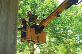 高温下的桥梁养护员：每项工作都是“烤”验图片