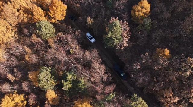同江：开发冰雪越野黄金线路 同江冬游蓄势待发