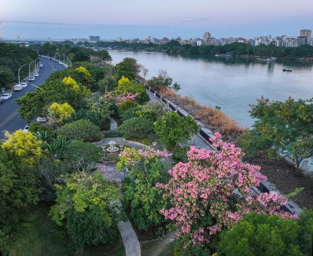 汕头碧道：绘就冬日生态长卷