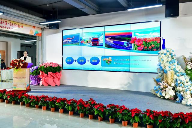 激活电商新动能，昆明呈贡区推出三条电商黄金赛道