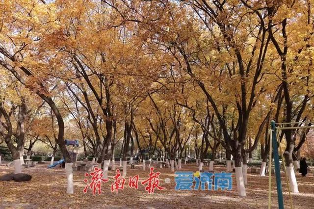 秋色不等人 速来解锁公园景区的N种玩法！