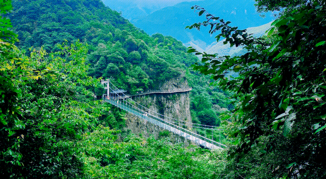 走进衢江 | 循气象之钥 解码冬日江南奇境与千年文脉