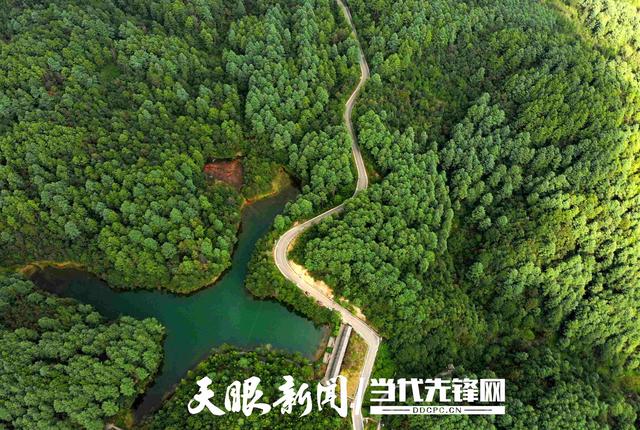 毕节七星关：立秋时节享清凉 森林秘境热度不减