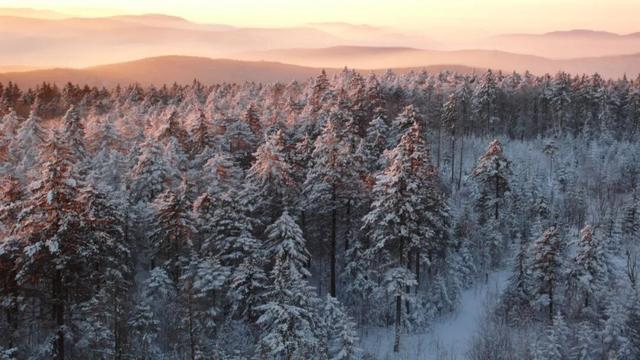 冰雪森林·童话伊春丨“冰雪治愈魔法”森态康养主题产品