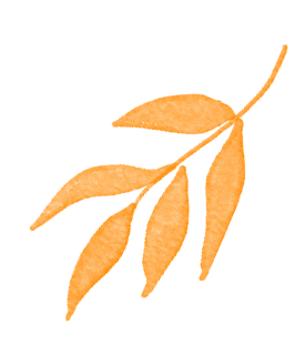 “党建红”点亮“枫”景丨栖霞山 “红枫护卫队” 上线！