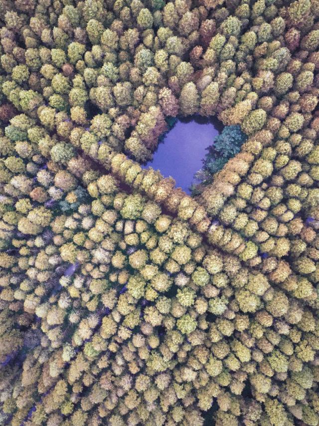 日照人的嘴是真严啊！这里都美成啥了！