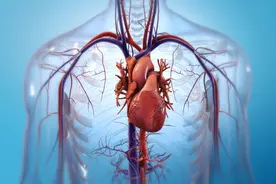 医学科普｜12组高清动图，带你认识真实的心脏！图片