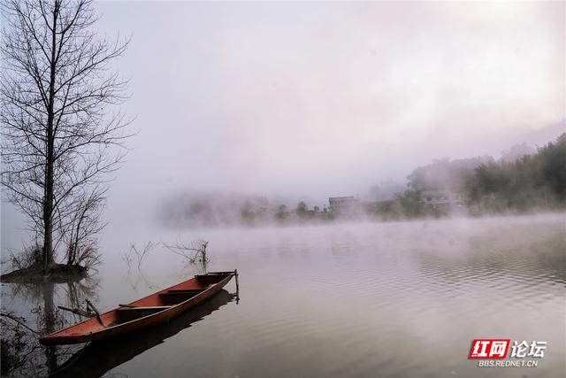【每日一图@湖南】打卡靖州冬日C位！“杨梅之乡”藏着生态活画卷