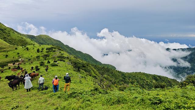 湖南之巅——酃峰美景