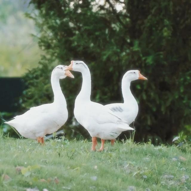 快来，点开一份周末的快乐