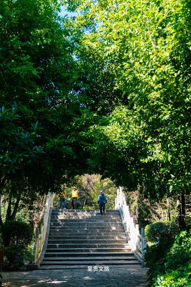 冬日呈贡洛龙公园，一天看尽四时之景