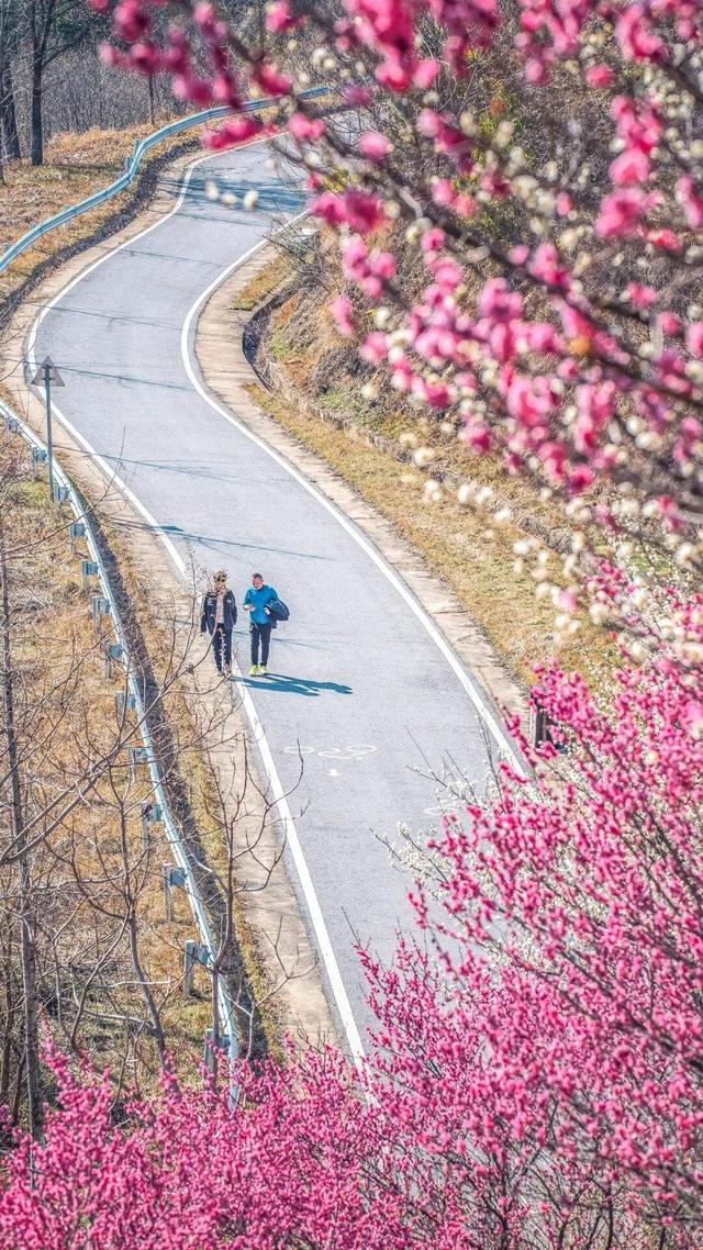 惊艳全国！2026黄陂首登央视