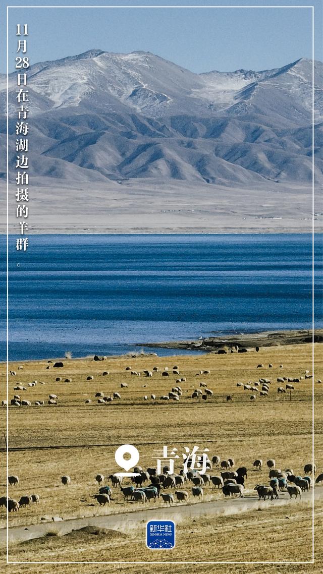 “初冬限定	”美景上线！一起来欣赏吧