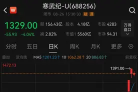 股价一度超茅台！寒武纪创始人为江西学霸兄弟图片