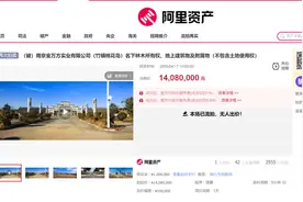 南京一知名景点拍卖抵债夭折，有一人报名却未出价图片