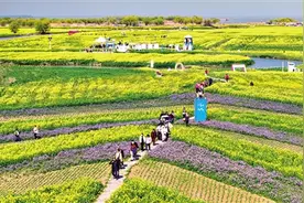 赏花踏青点燃“春日经济”图片