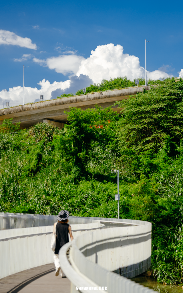 深圳湾的夜景再次升级 · 周末游玩指南