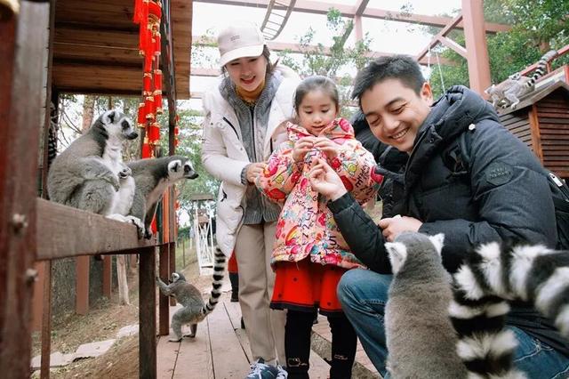 亲~~免费游乐和乐都的机会来了！