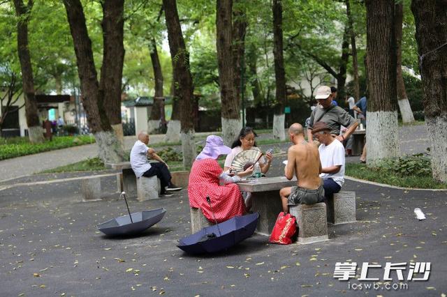 湖南烈士公园：“赤膊男”出没煞了风景