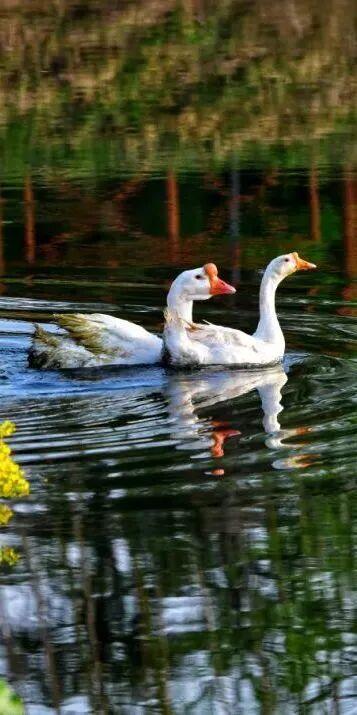 天呐，洛阳的这份「反差感」，绝了！