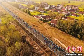 3500人“跑”进金色油画 湖南南县花海马拉松飘起小龙虾香图片