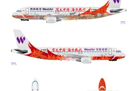 设计图案公布！这架飞机满满泉州元素！图片