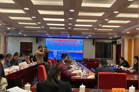 王昌林：全球加速绿色低碳发展转型的大趋势不可逆转图片