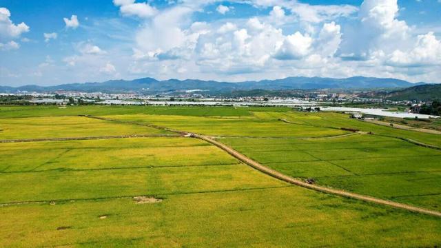 云新闻策划·来云南与秋天合个影丨明信片⑥：寄自·建水古城