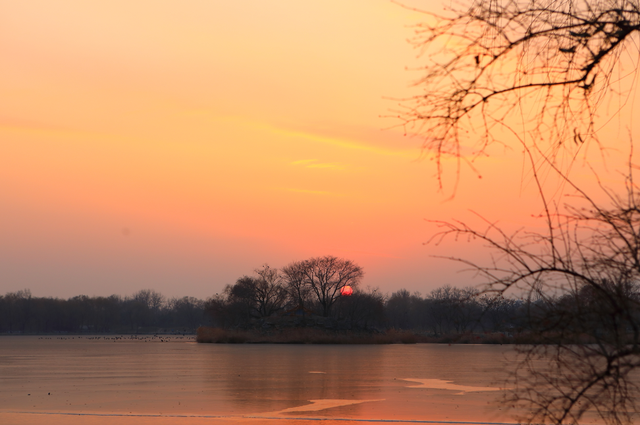 冬天来圆明园看海，邂逅一场宁静！
