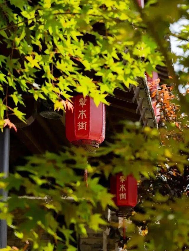 我们的节日·七夕 | 仙凡同乐的夏夜奇遇~