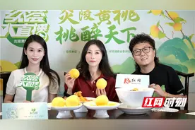 乡农荟大直播丨炎陵黄桃邂逅“湘菜” 限定美味伴秋来图片