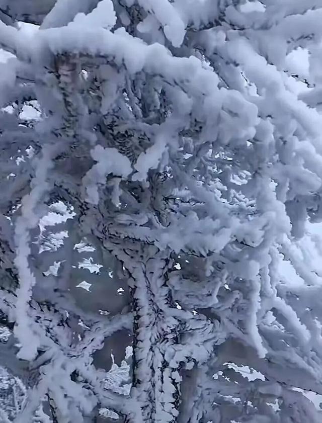 携程、百事通、去哪儿三大品牌核心销售团队走进太白山