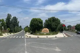 枣阳市新市镇：全面推进森林乡村创建图片