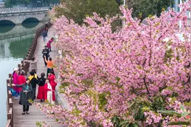 阳光明媚春意浓 踏青赏花正当时图片