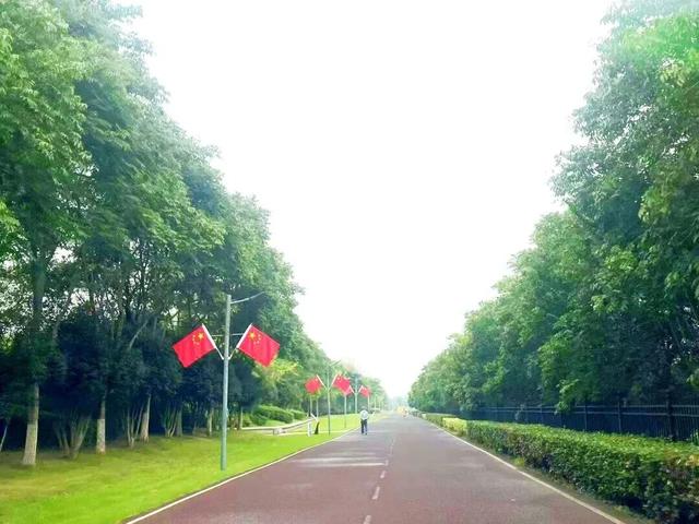 这个秋天，南京滨江公园悄悄“焕新”