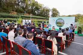 来首届“满觉陇杯”赴一场龙井之约，西湖龙井群体种本周内预计进入全面开采阶段图片