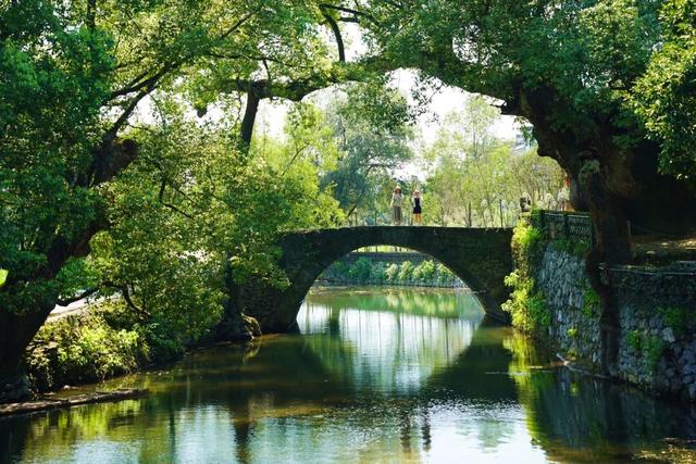 “马”上出发！上饶这些景区为你准备了专属惊喜~