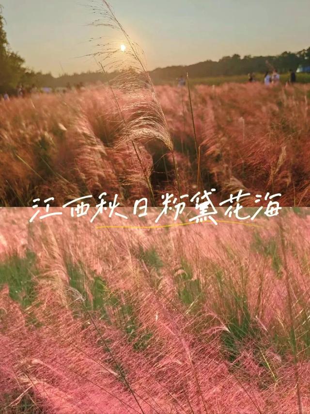 初秋的江西，藏着最治愈的模样！