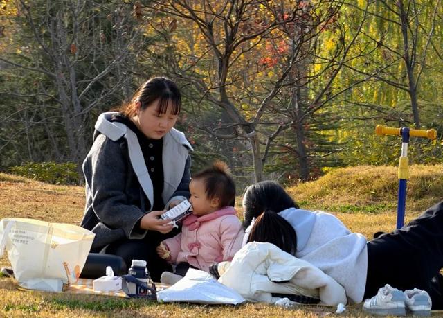 冬日里的北海公园尽显生态宜居画卷