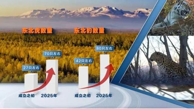 给国家公园发“户口本”，五个国家公园完成自然资源确权登记！都在哪？好玩吗？确权有什么用？带您一起来逛逛！