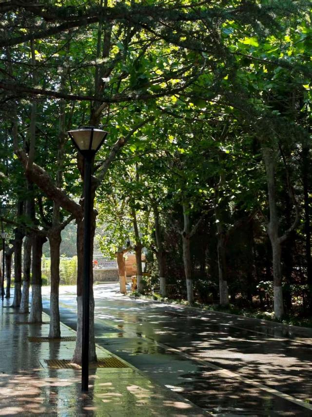 新闻周刊｜暑假留校的大学生