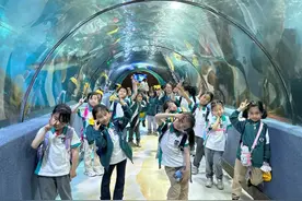 合肥市建平实验小学锦绣校区：春日研学，共赴成长之约图片