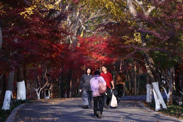 中大路 “红” 了！本周 C 位遛弯地预定！