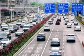 武汉城区主干道月季花带盛放，园林局：部分为变色月季，花期可持续至11月，养护成本低图片