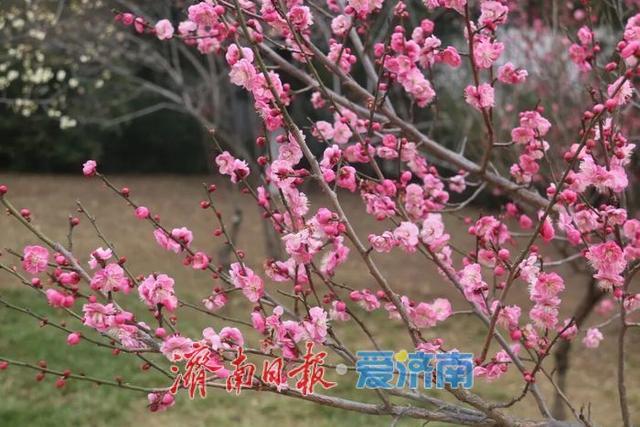 走进公园 一起遇见春天