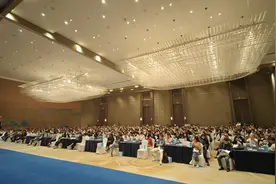 正雅GS技术暨“突凹偏直”沈刚分类体系学术会议在徐州举办图片