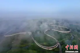 航拍江苏宿迁三台山国家森林公园 晨雾缭绕似仙境图片